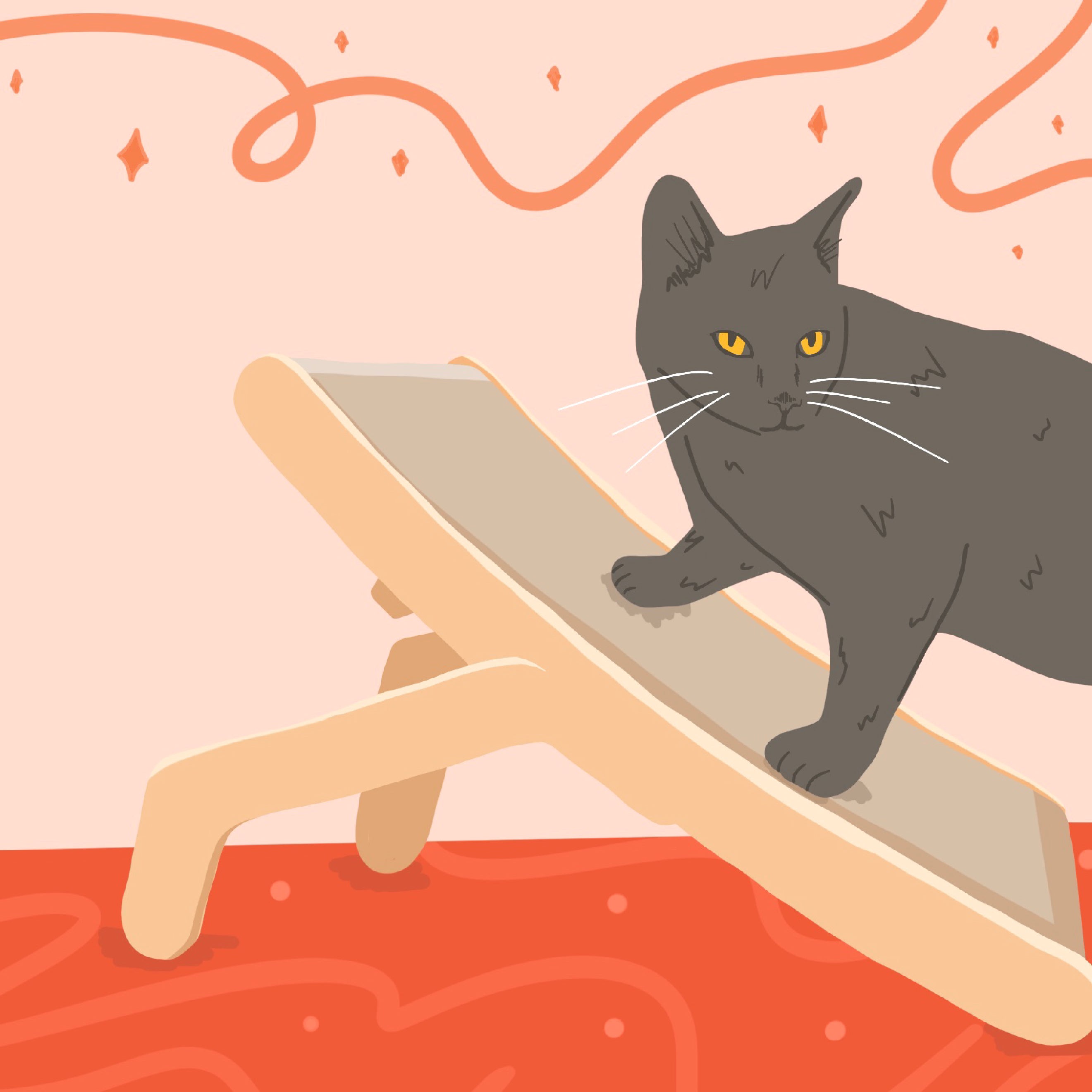 How to Keep Your Cat Happy (and Your Furniture Scratch-Free!)